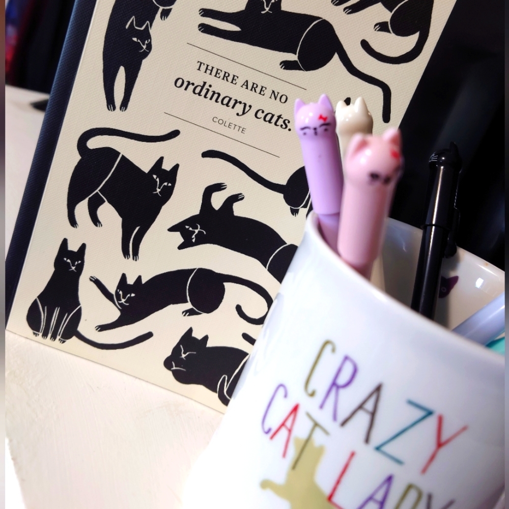 Cat Lovers Bundle, Mug, Notebook, Pens (NWOT 6 PACK)